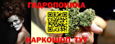 МДПВ Пенза