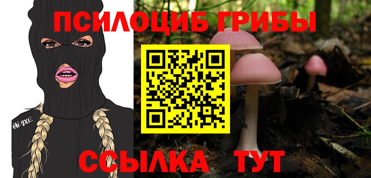 Псилоцибиновые грибы мухоморы Серпухов